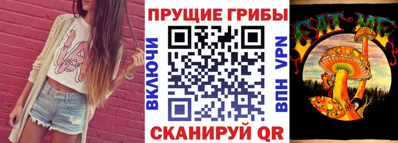 Купить  Усолье  Галлюциногенные грибы прущие грибы 